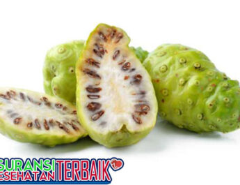 Manfaat Mengkudu dalam Pandemi Covid-19