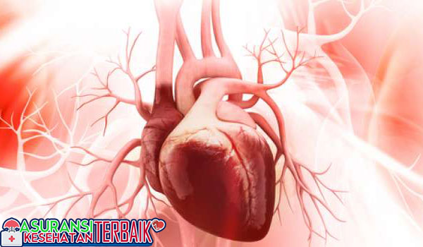 Mengapa Jantung Perempuan Berdetak Lebih Cepat Daripada Laki-laki, Apa Sebabnya?