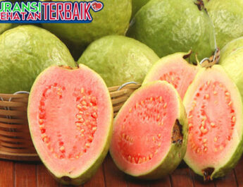 Mitos atau Fakta, Jus Jambu Bantu Obati DBD?